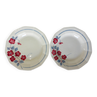 2 deep plates Céranord St Amand model Le Printemps (220634)