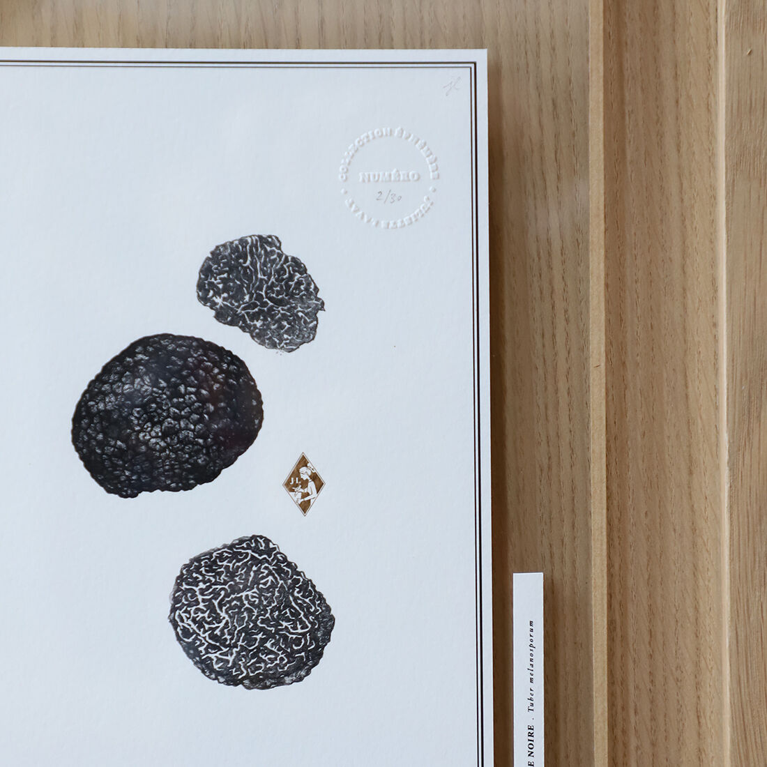 Painting "Black Truffle" - Illustration