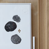 Tableau "Truffe Noire" - Illustration