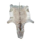 Zebra Skin, Floor Rug / Wall Tapestry, ca 1950