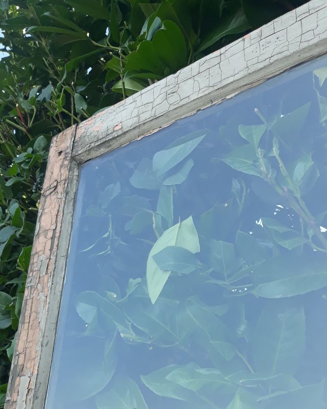 Old glass door 78.5x220.8cm