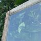Old glass door 78.5x220.8cm