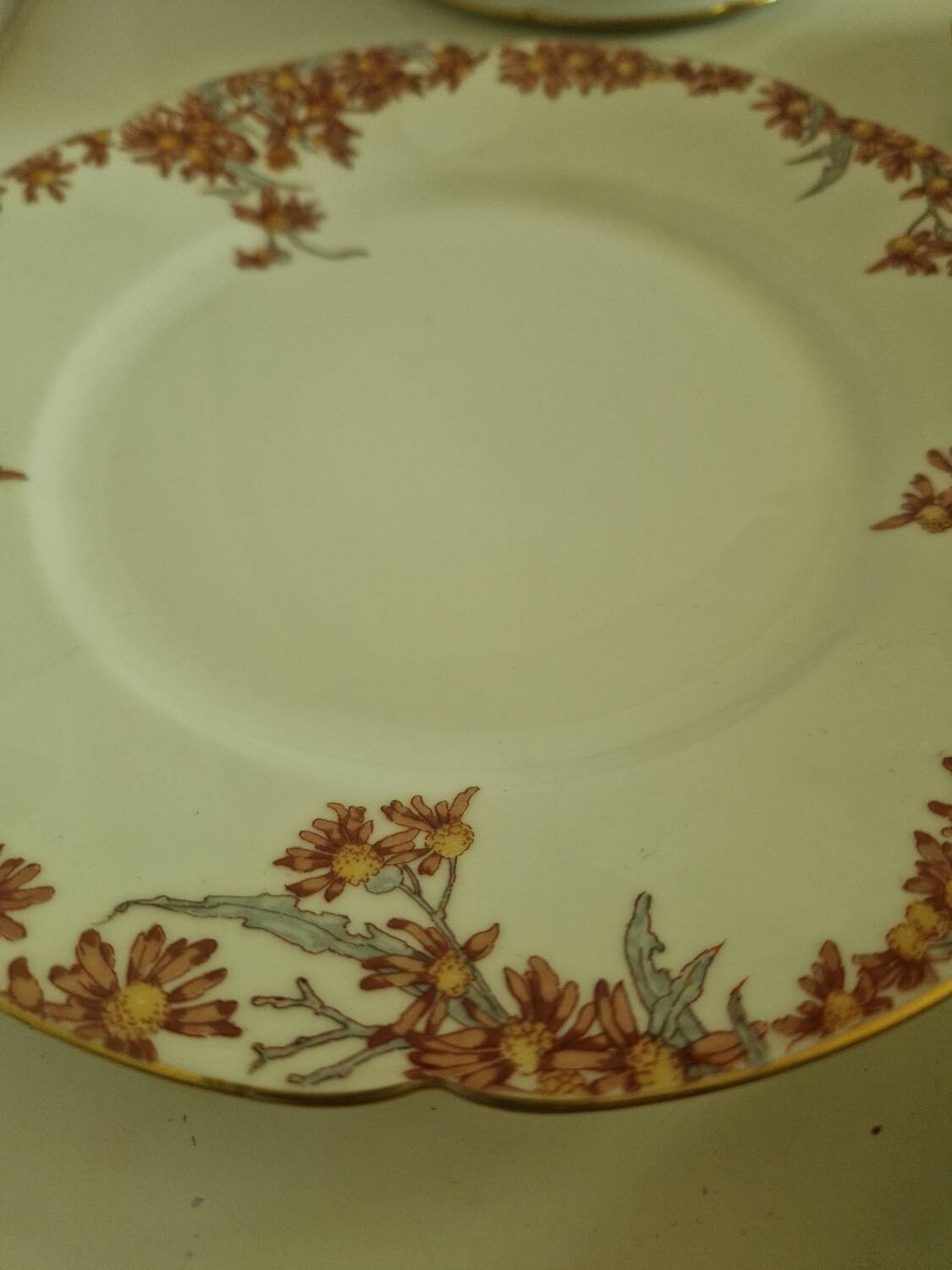 Lot of 11 Porcelain Dinner Plates Plus Presentation Dish Manufactured