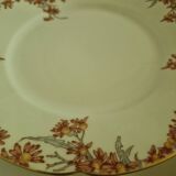 Lot of 11 Porcelain Dinner Plates Plus Presentation Dish Manufactured