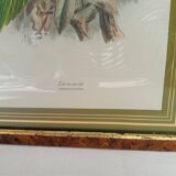 Tableau oiseau Lori
