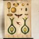 Botanical Poster: Pollination and Fertilisation