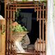 Large sculptural mirror handmade from natural bamboo and woven rattan, 1960.