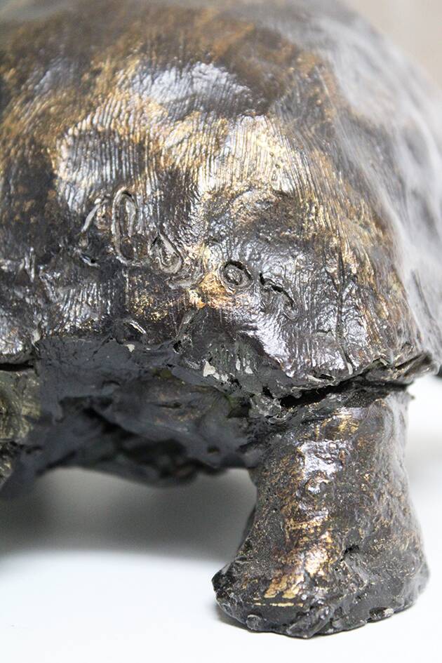 Turtle signed Closon