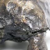 Turtle signed Closon