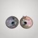Vintage wall light pair gaetano sciolari guzzini arlus maison charles desi