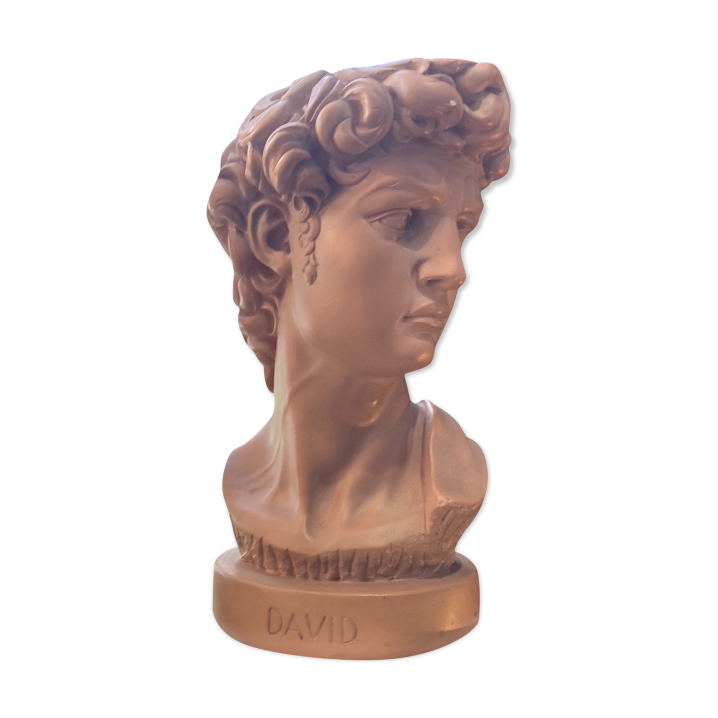 Bust David in plaster