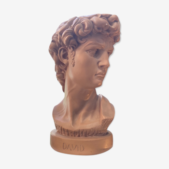 Bust David in plaster
