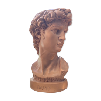 Bust David in plaster