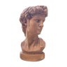 Bust David in plaster