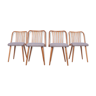 Ensemble de 4 chaises de salle à manger par Antonin Suman pour Ton, années 1960