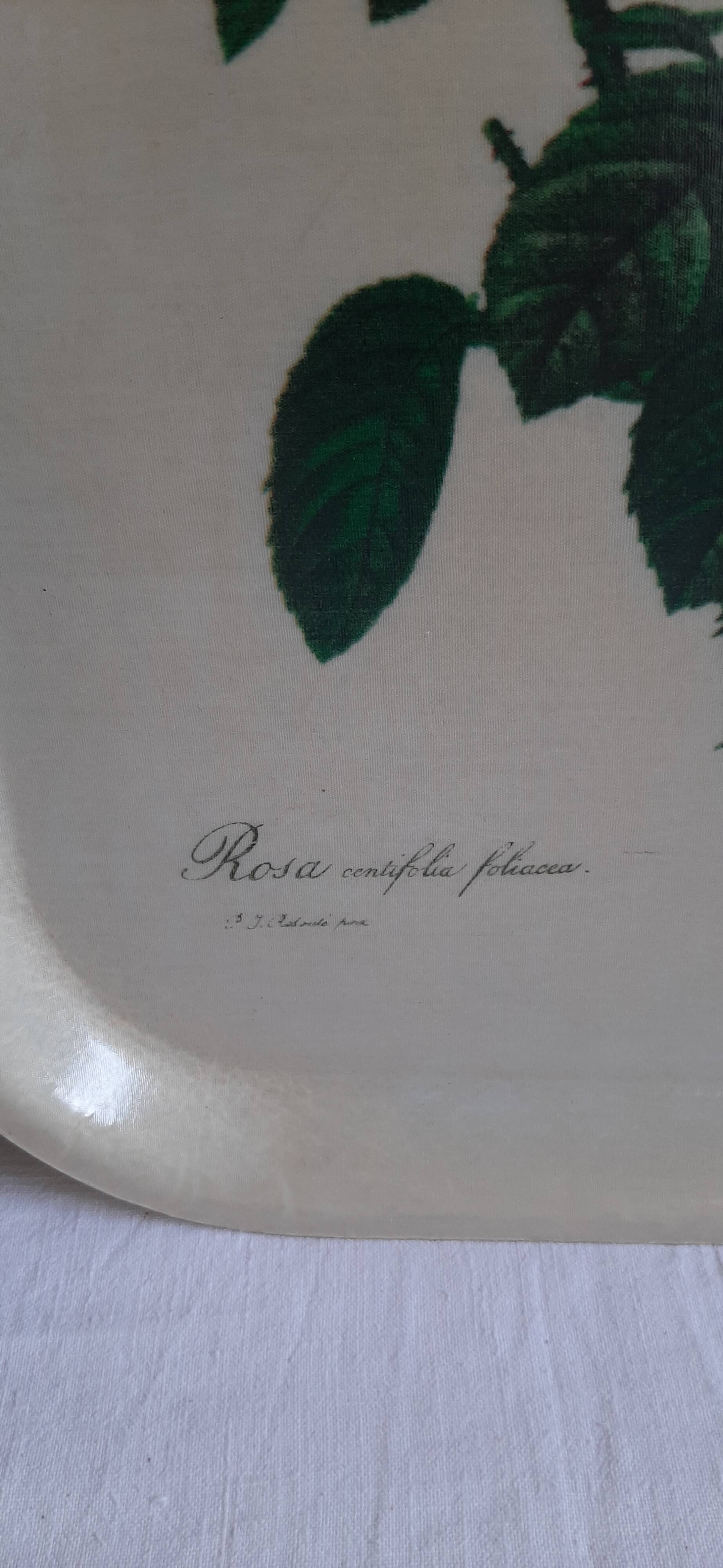 Plateau en fibre de verre