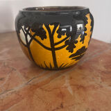 Orchies pot