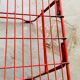 4 red design chairs