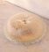 Italian Transparent Murano Glass Ceiling with Flower