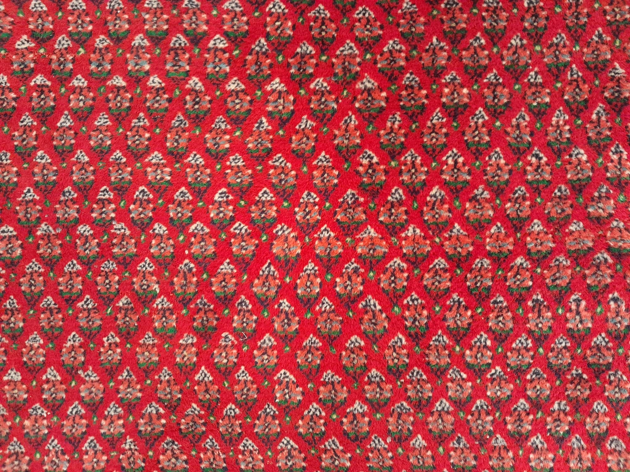 Persian carpet mir handmade 305x110cm