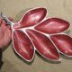 Designer centerpiece in enameled aluminum length 40.7 cm