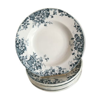 8 hollow plates st Amand and Hamage model Marie Louise