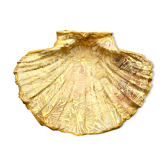 Coquille Saint Jacques décorée