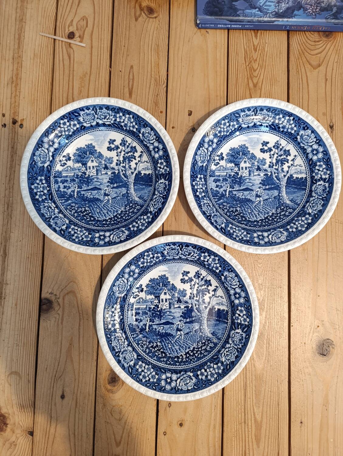 Set of 3 Villeroy & Boch Rusticana soup plates - With defects