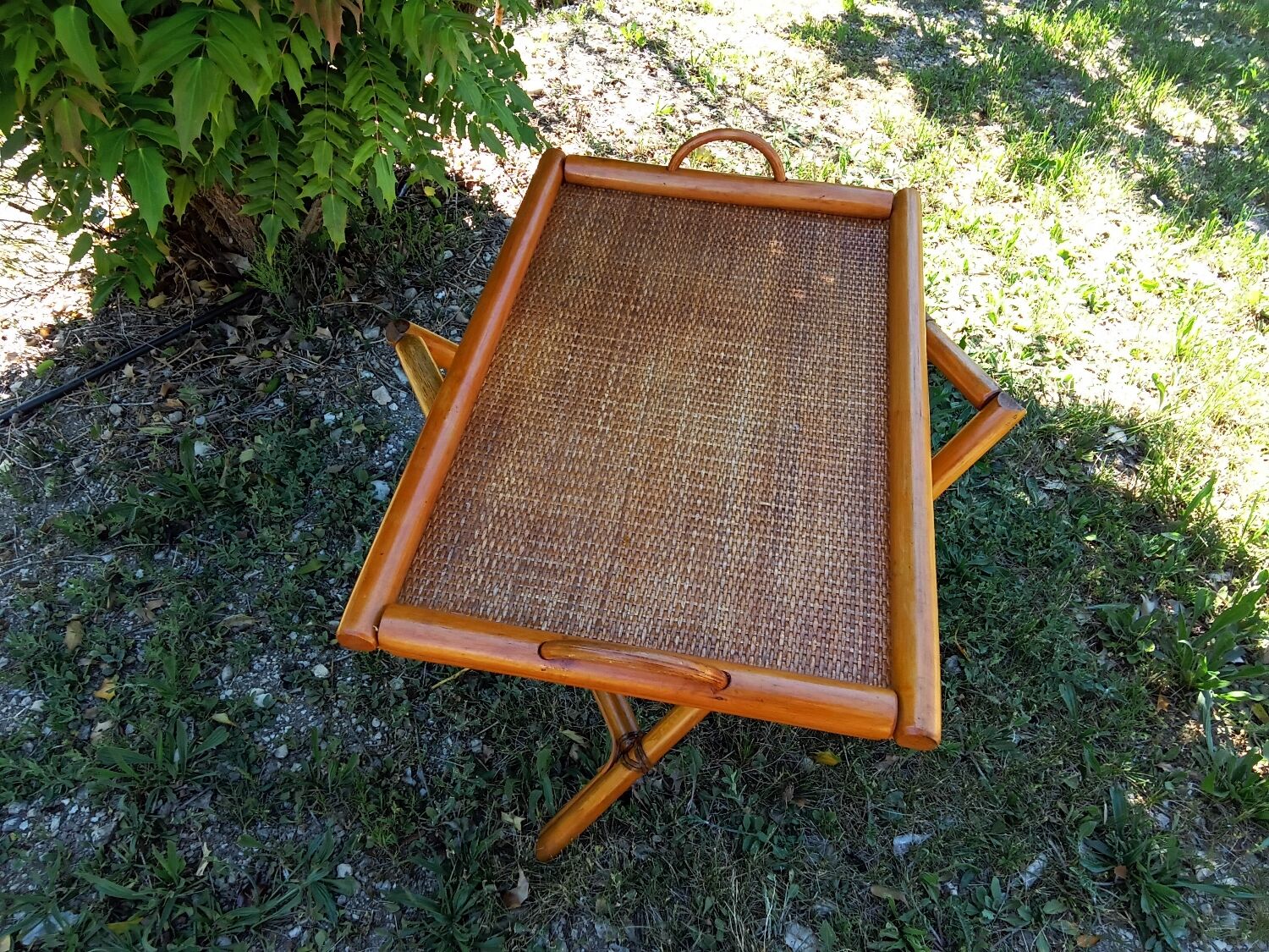 Bamboo and rattan service