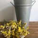 Zinc pot, florist vase