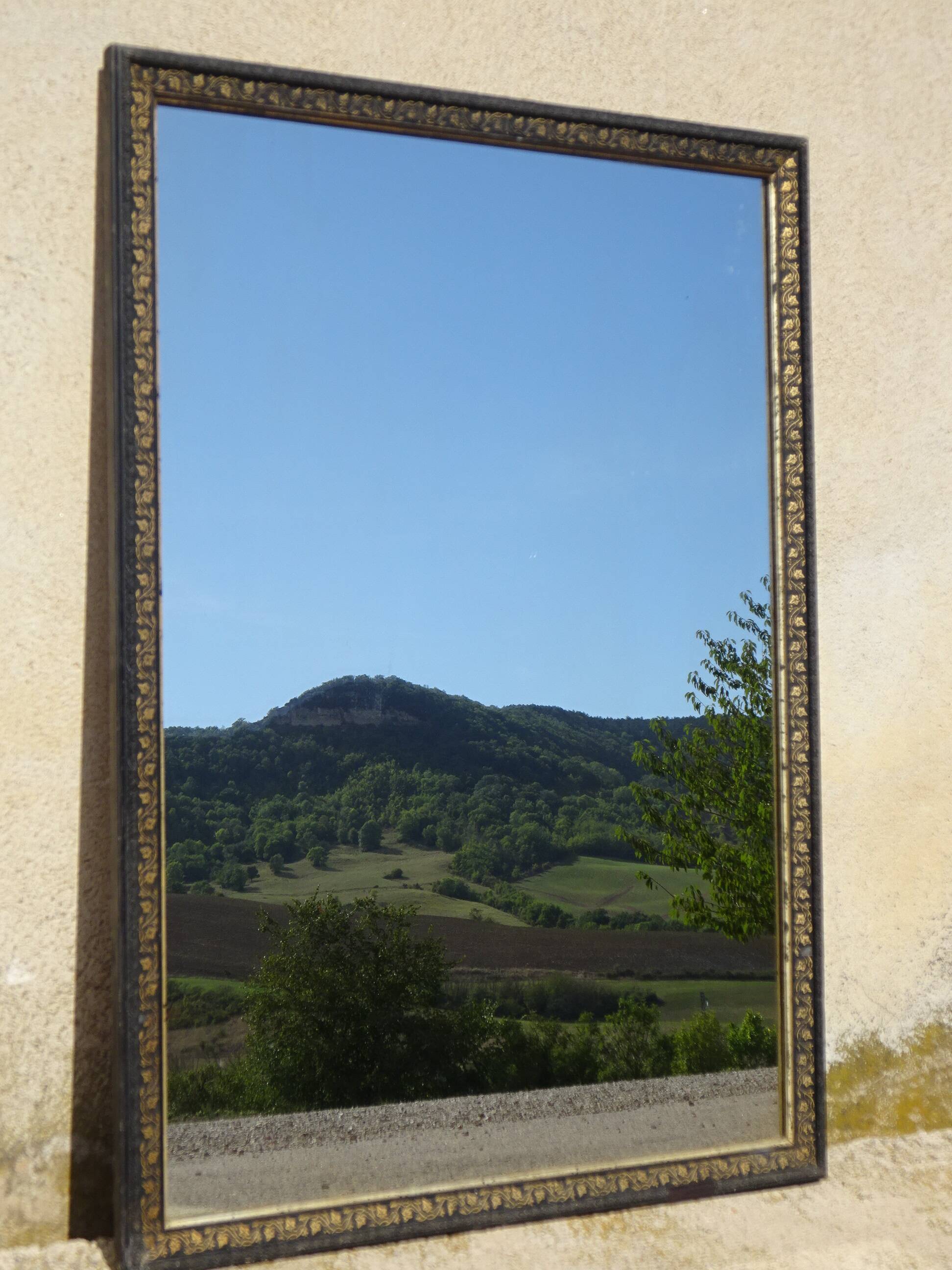 Black and gold mirror, vine leaves 63x88cm