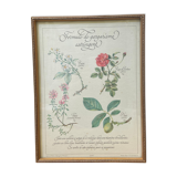 Botanical plank "Astringent gargle formula"