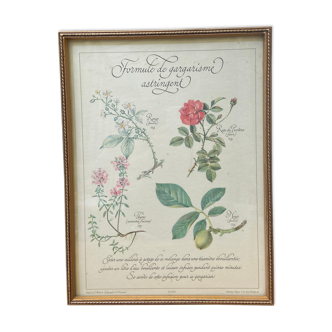 Botanical plank "Astringent gargle formula"