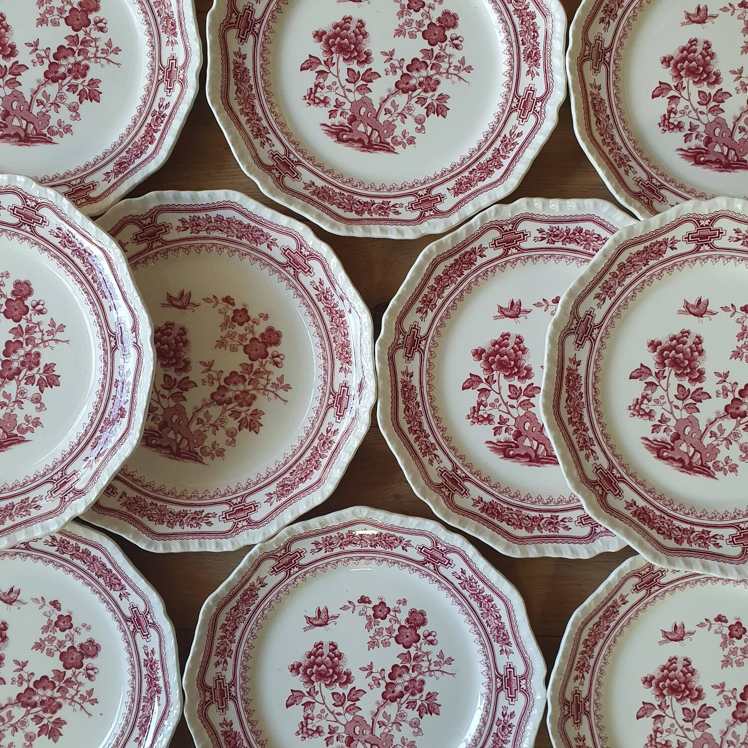 12 Mason's dinner plates