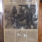 Swedish Oil on Canvas – "Obscured by Trees" by Alvar Jansson