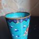 Bronze glass in partitioned enamels