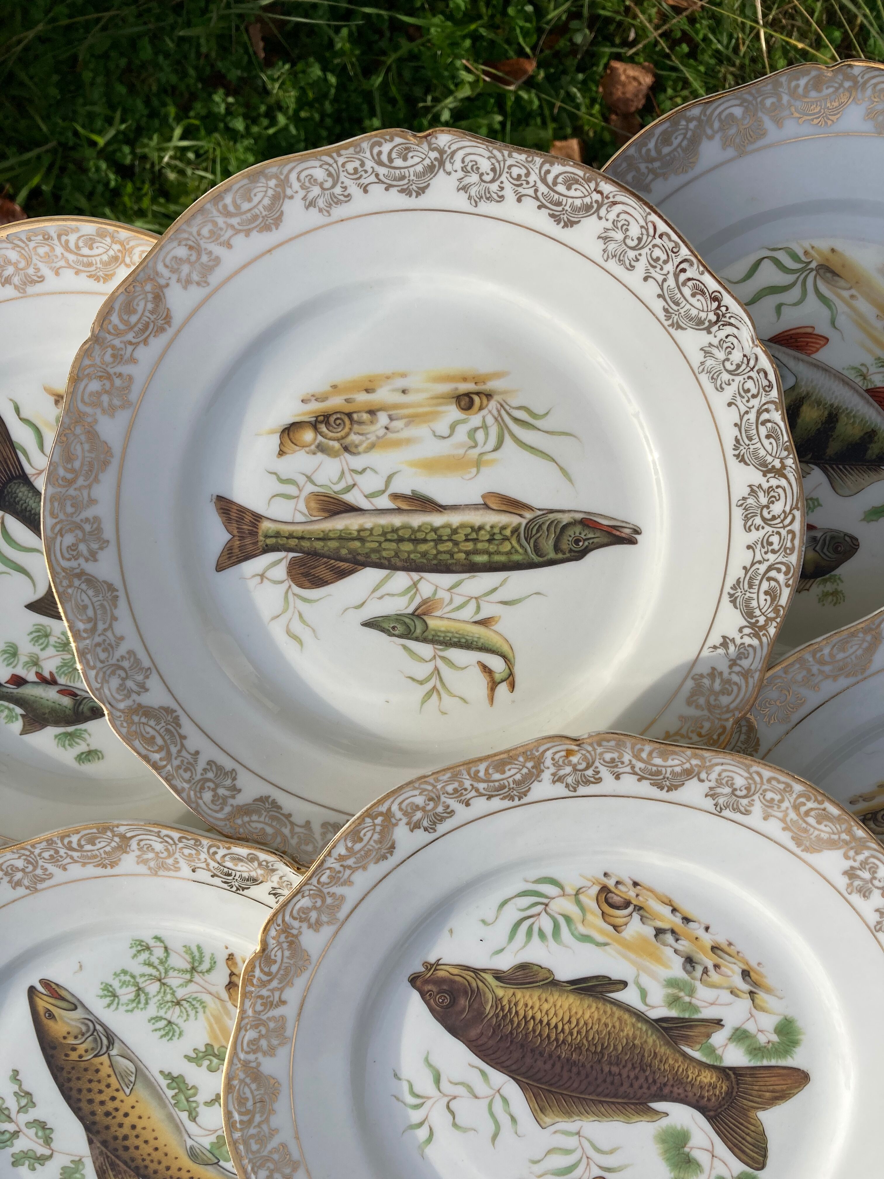 11 vintage Limoges porcelain fish plates
