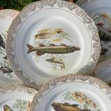 11 vintage Limoges porcelain fish plates