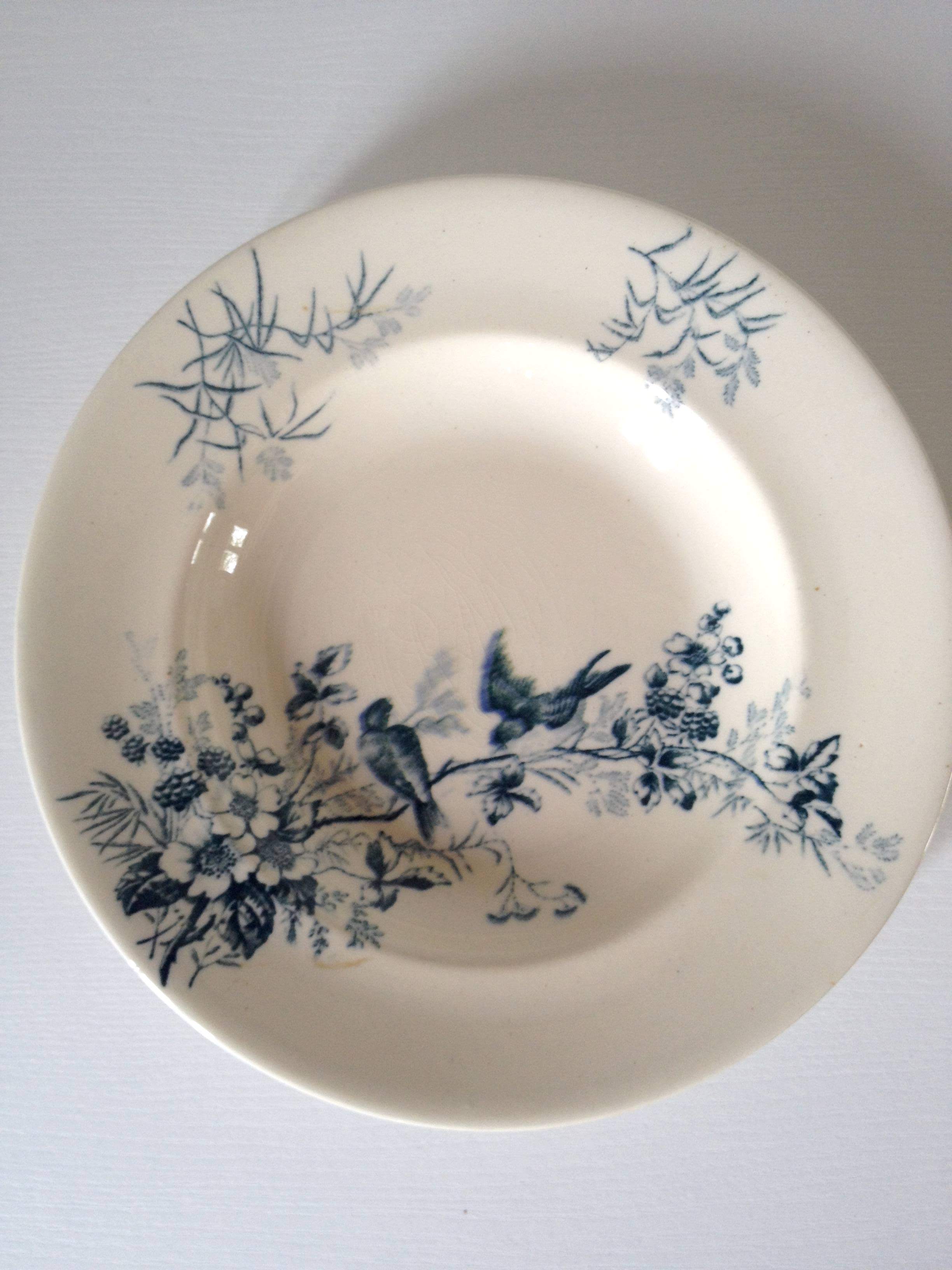 Two old plates longwy "cute" french faience