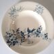 Two old plates longwy "cute" french faience