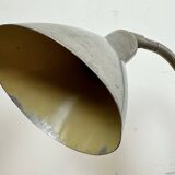 Vintage Gooseneck Table Lamp, 1950s