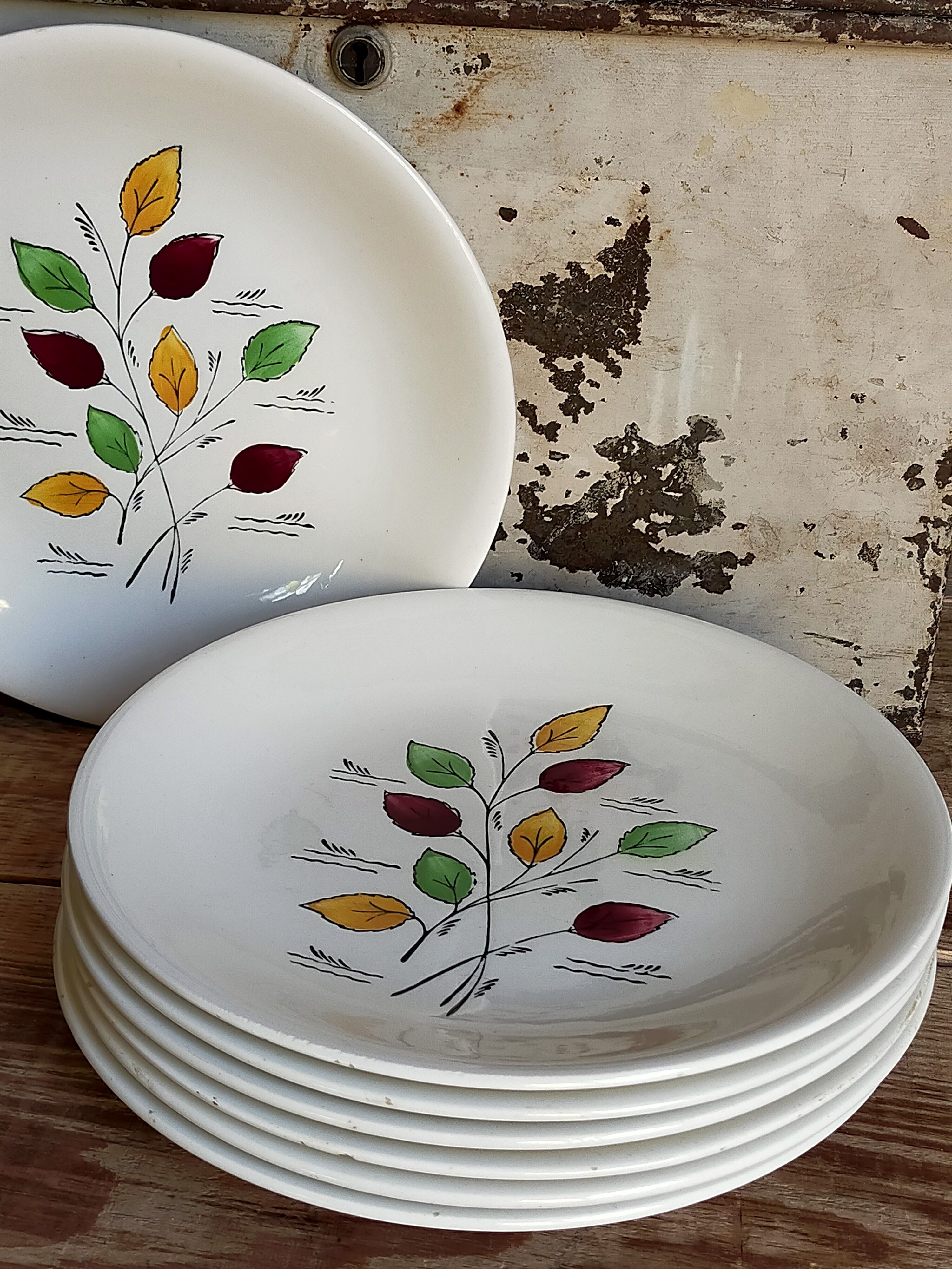 Seven vintage plates in fine earthenware from Gien service Gentilly
