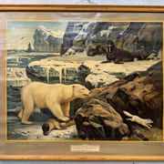 Affiche scolaire en lin vintage – Au milieu de la neige et de la glace