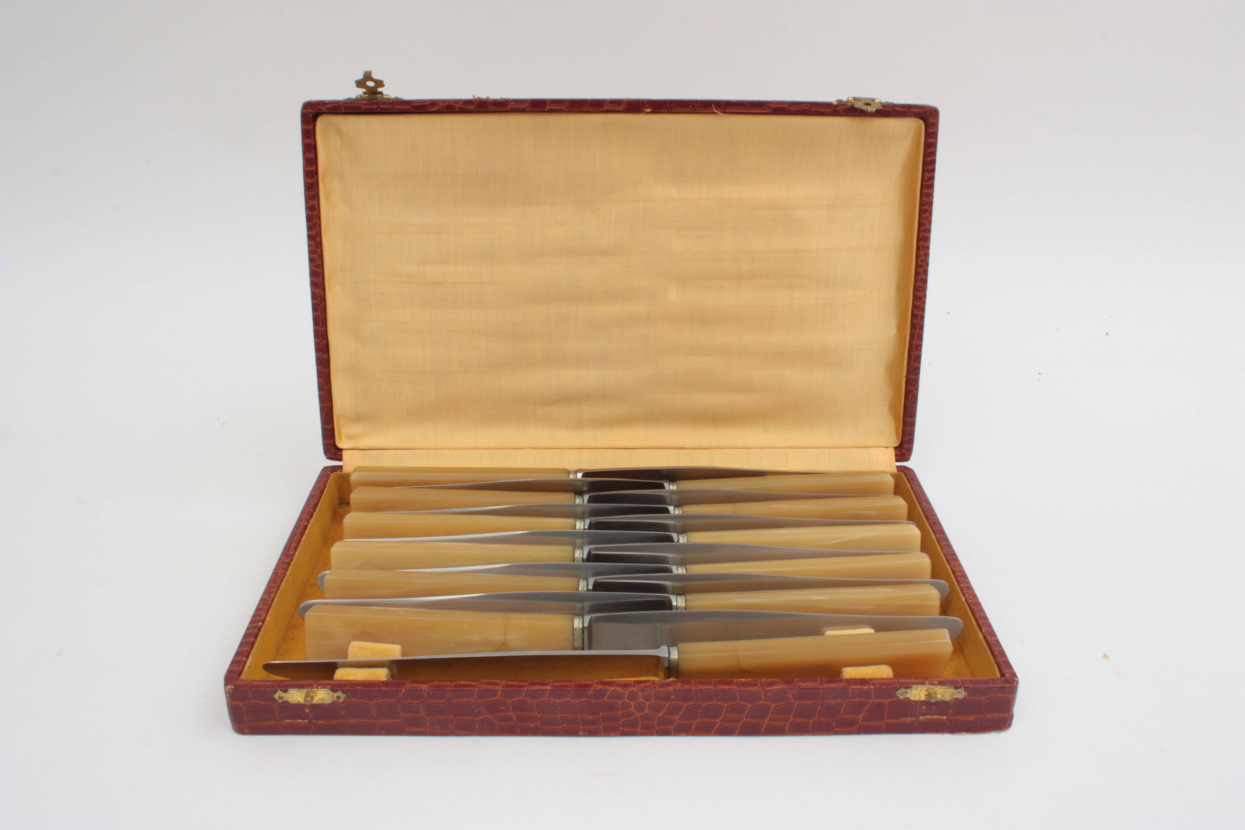 Box of 12 Apollonox knives