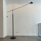 Nestore Terra XXL f