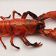 Plastic lobster, circa 1970
