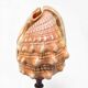 Red helmet shell conch on turned wooden base 19th century