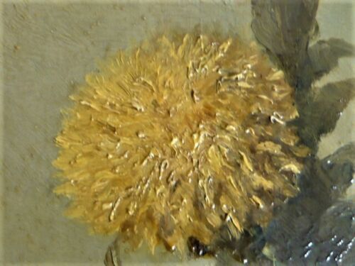 Still Life with Chrysanthemums - French School XIXth - signed - original frame