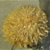 Still Life with Chrysanthemums - French School XIXth - signed - original frame