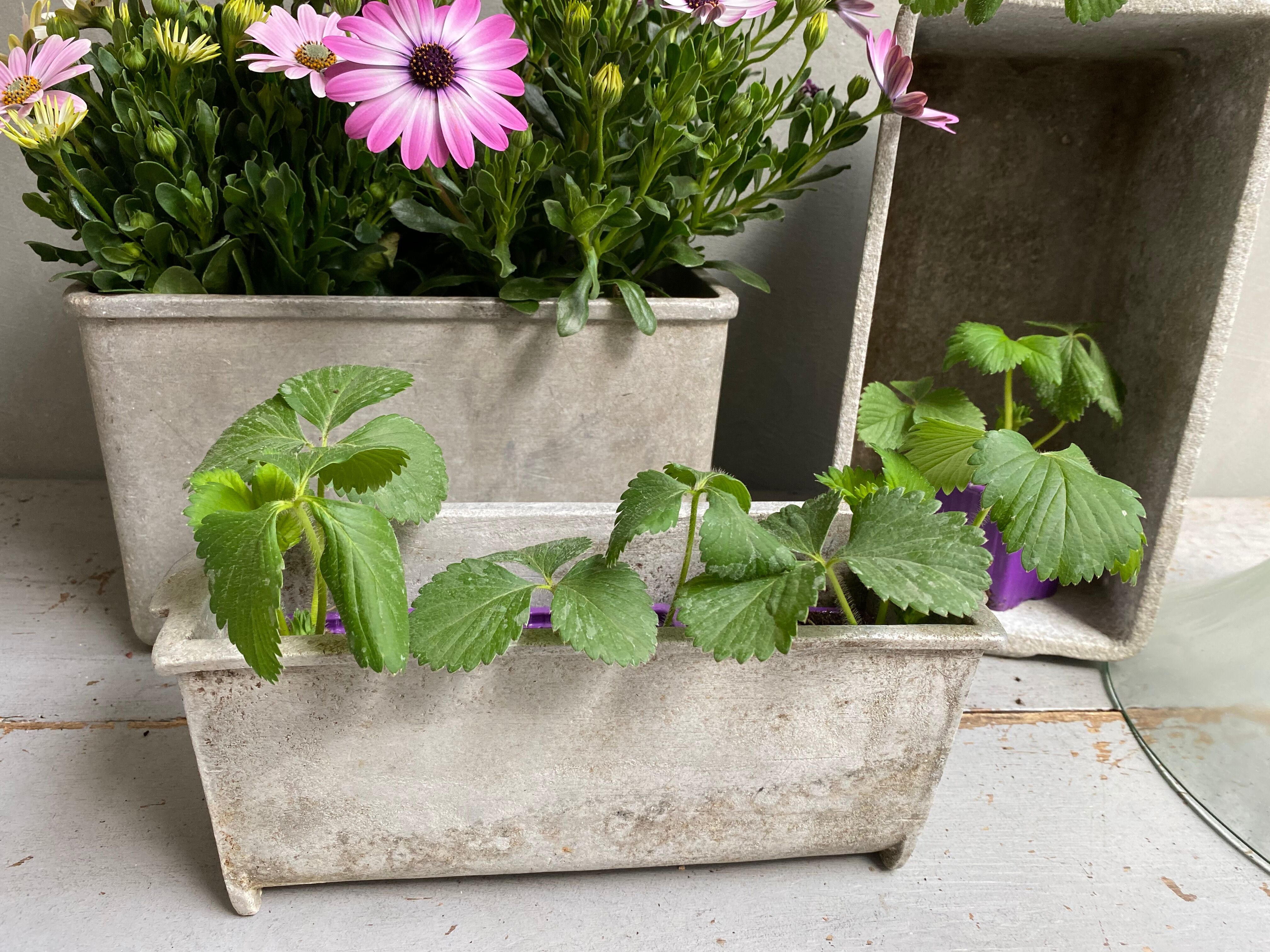 Small industrial planter